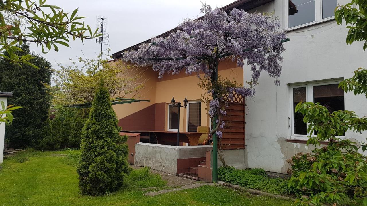 Noclegi Silesia Aster Tychy Bagian luar foto